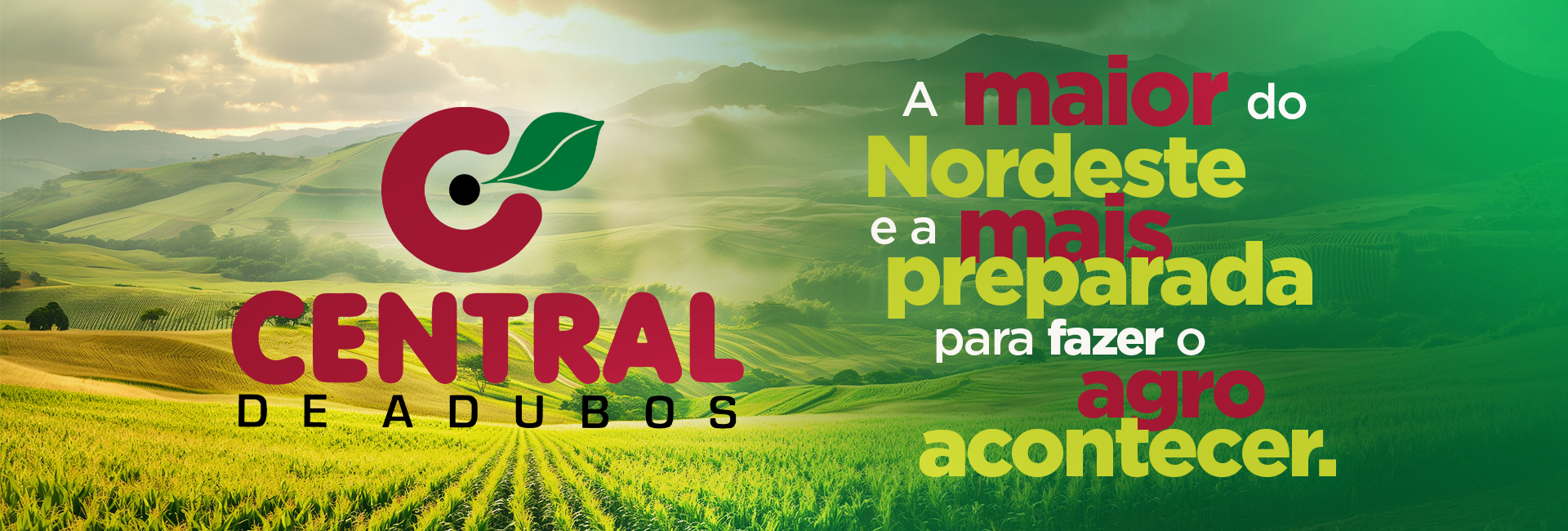 BANNER SITE CA
